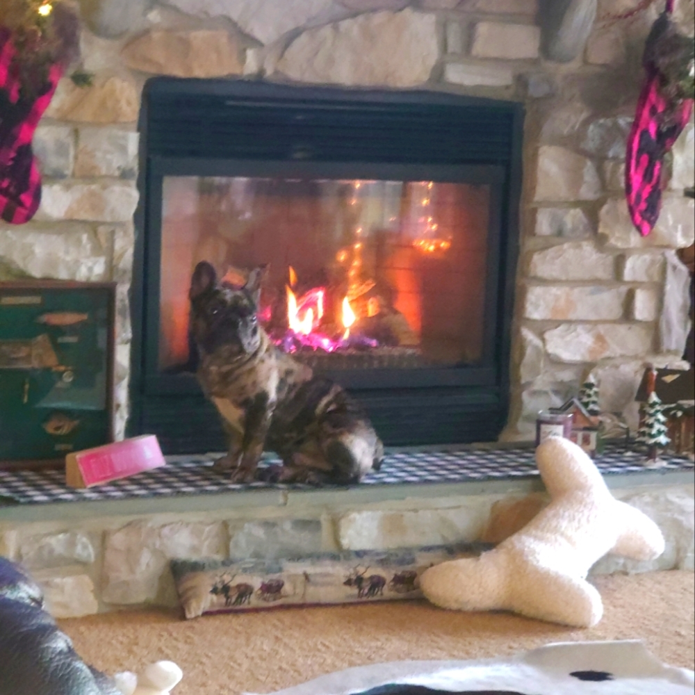 Cozy winter nights